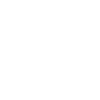 magneti